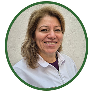 Proyecto Ambiental Escolar