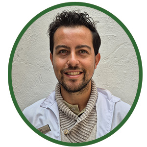 Proyecto Humanidades